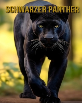 Schwarzer Panther: Interessante Fakten und Bilder über Schwarzer Panther