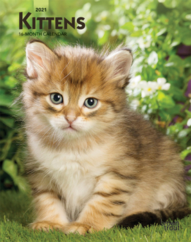 Calendar Kittens 2021 Engagement Book