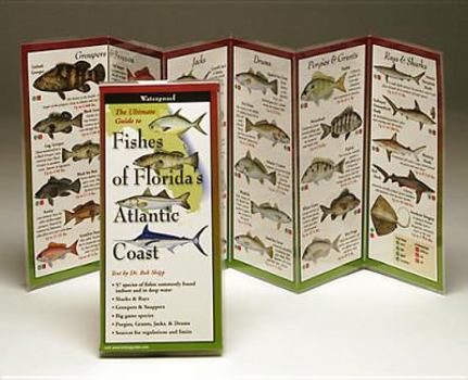 Paperback Fishes of Florida's Atlantic Coast Book