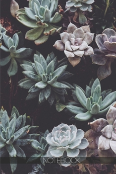 Paperback Notebook: Botanical cactuses close up [110 pages]: Botanical cactuses close up Book