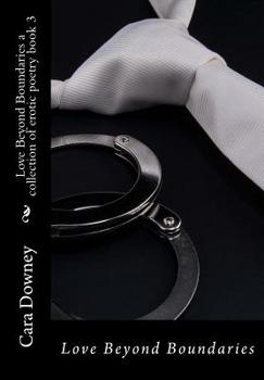 Love Beyond Boundaries, Book 3