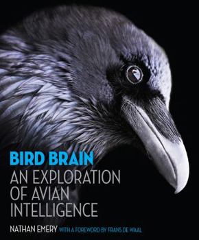 Hardcover Bird Brain: An Exploration of Avian Intelligence Book