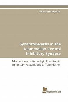 Paperback Synaptogenesis in the Mammalian Central Inhibitory Synapse Book