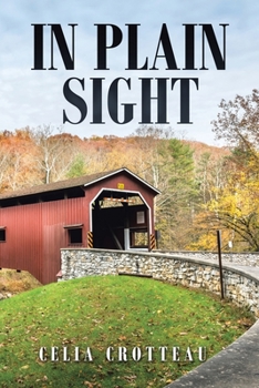 Paperback In Plain Sight Book