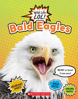 Paperback Bald Eagles (Wild Life Lol!) Book