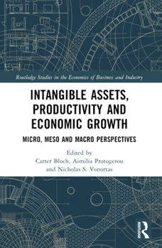 Paperback Intangible Assets, Productivity and Economic Growth: Micro, Meso and Macro Perspectives Book