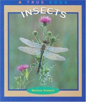 Insects - Book  of the A True Book