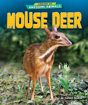 Library Binding Mouse Deer Book