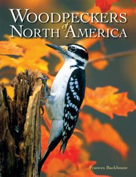 Hardcover Woodpeckers of North America Book