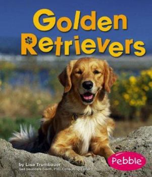 Golden Retrievers (Pebble Books) - Book  of the Dogs Library