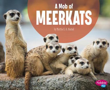 Paperback A Mob of Meerkats Book