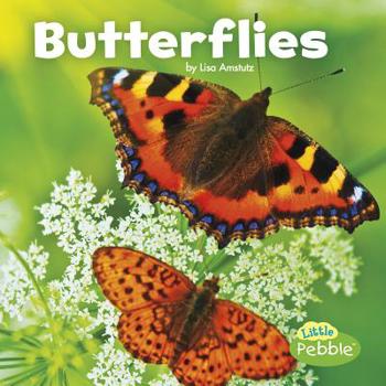 Butterflies - Book  of the Little Critters