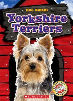 Yorkshire Terriers (Paperback)(Blastoff! Readers: Dog Breeds) - Book  of the Dog Breeds