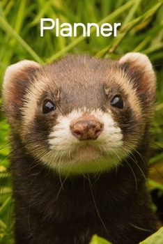 Planner: Ferret Planner; I love Ferrets; Ferrets are the best; Cute animal book; 6x9inch with 108-wide lined pages