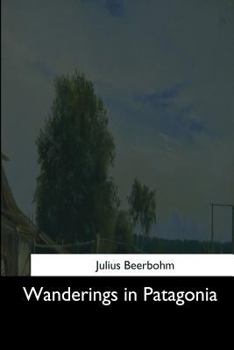 Paperback Wanderings in Patagonia Book