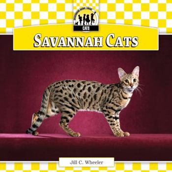 Savannah Cats - Book  of the Cats