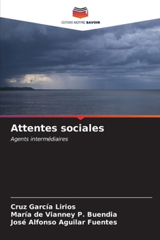 Paperback Attentes sociales [French] Book