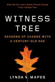 Paperback Witness Tree: Seasons of Change with a Century-Old Oak Book