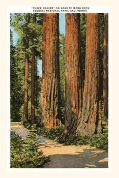 Paperback The Vintage Journal Three Graces Redwoods, Sequoia, California Book