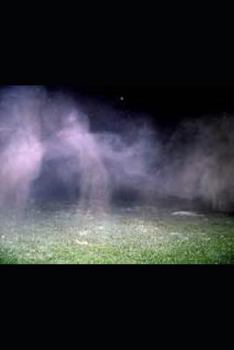 Paperback The Coven of Carmen Book