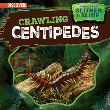 Crawling Centipedes (Animals That Slither and Slide)