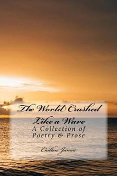 Paperback The World Crashed like a Wave: A Book of Poetry & Prose Book