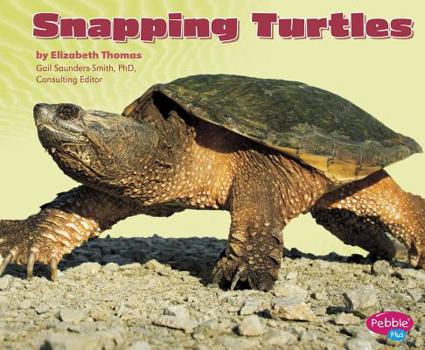 Hardcover Snapping Turtles Book