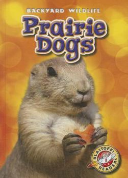 Prairie Dogs - Book  of the Backyard Wildlife