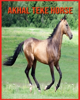 Akhal Teke Horse: Fascinating Akhal Teke Horse Facts for Kids with Stunning Pictures!