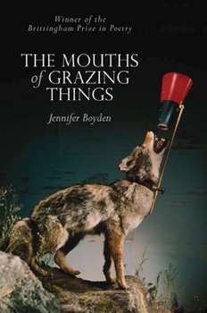 Paperback The Mouths of Grazing Things Book