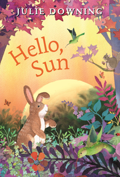 Board book Hello, Sun Book