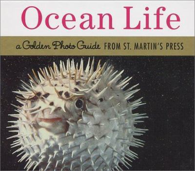 Hardcover Ocean Life Photo Guide Book