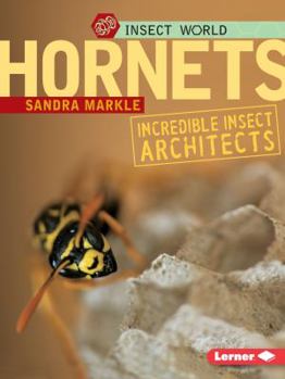 Paperback Hornets: Incredible Insect Architects Book