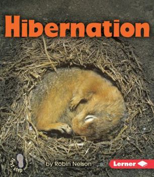 Hibernation by Nelson, Robin [Lerner Classroom, 2010] Paperback [Paperback] - Book  of the First Step Nonfiction