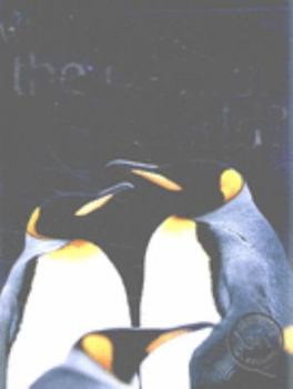 Paperback The Natural World? (What About...) Book