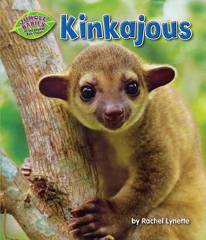 Kinkajous - Book  of the Jungle Babies of the Amazon Rain Forest