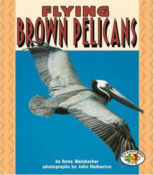 Library Binding Flying Brown Pelicans Book