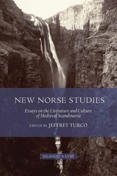 New Norse Studies: Essays on the Literature and Culture of Medieval Scandinavia - Book  of the Islandica
