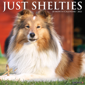 Calendar Just Shelties 2021 Wall Calendar (Dog Breed Calendar) Book