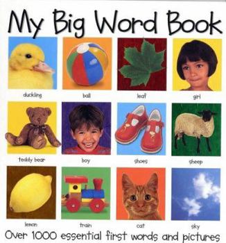 Hardcover My Big Word Book