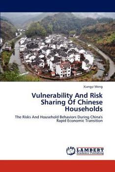 Paperback Vulnerability And Risk Sharing Of Chinese Households Book