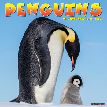 Calendar Penguins 2025 12 X 12 Wall Calendar Book