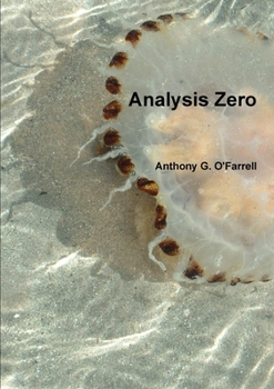Paperback Analysis Zero Book