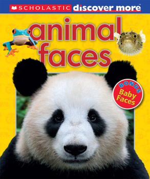 Hardcover Animal Faces (Scholastic Discover More) Book