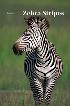 Hardcover Zebra Stripes Book