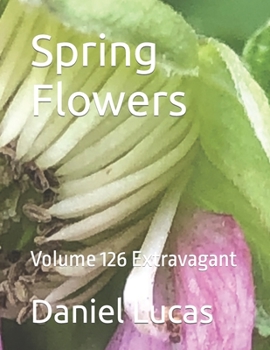 Paperback Spring Flowers: Volume 126 Extravagant Book
