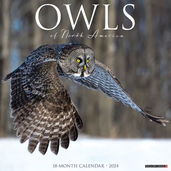 Calendar Owls 2024 12 X 12 Wall Calendar Book