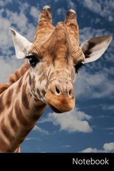 Notebook: Girafe, Animaux, Afrique, Coucher De Soleil Carnet / Journal / Livre d'écriture / Calepin / Agenda / Notes - 6 x 9 pouces (15,24 x 22,86 cm), 110 pages, surface brillante.