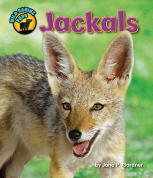 Jackals - Book  of the Wild Canine Pups