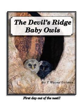 Paperback The Devil's Ridge Baby Owls: First day out of the nest! Book